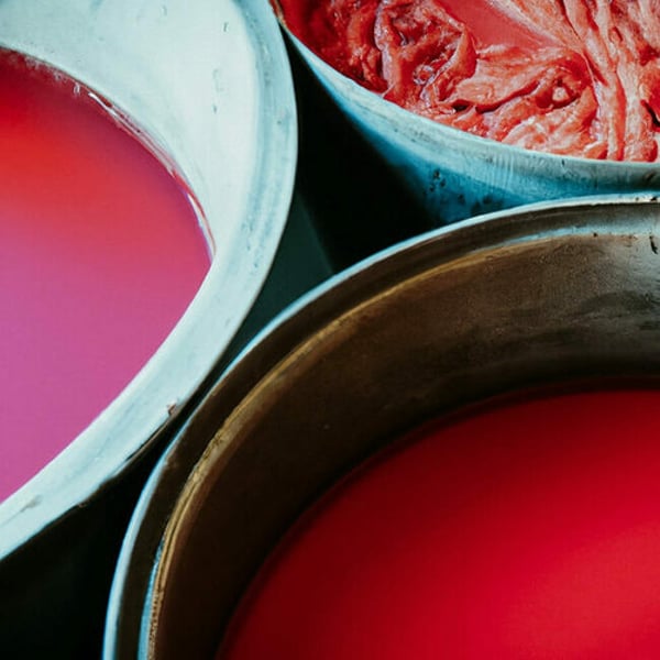 Ever Dye raises €15 million to advance to the industrial stage